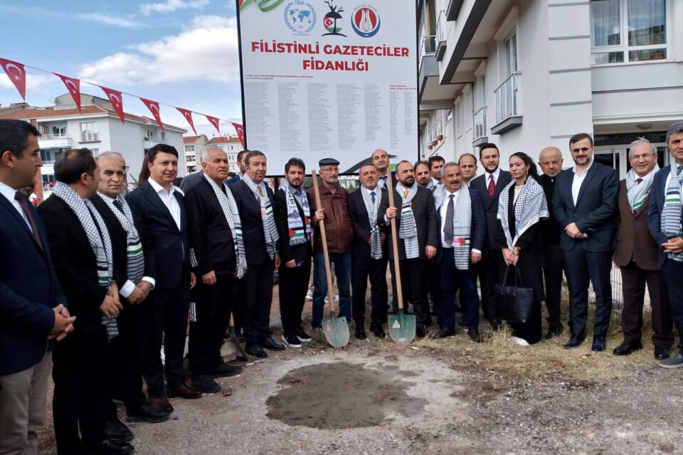 featured-image-252439